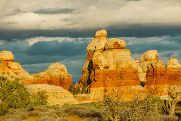 Spätes goldenes Licht auf den roten Felsen des Labyrinths in Canyonlands Utah - CAVF82467