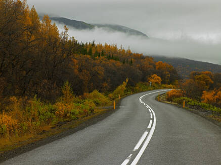 Kurvenreiche Straße im Wald Hallormsstaðaskógur im Osten Islands - CAVF82782