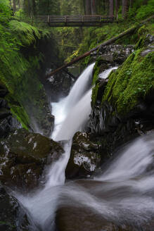 Wasserfall im moosbewachsenen Wald unter einer Holzbrücke - CAVF82815