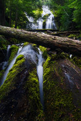 Landscape of Upper Proxy Waterfall in Oregon - CAVF82820