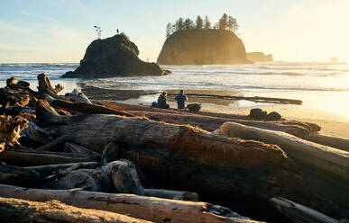 Paar sitzt auf Baumstämmen am Strand bei Sonnenuntergang in Washington - CAVF82847