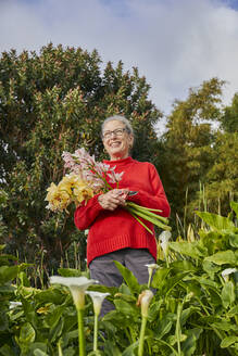 Frau im Ruhestand hält frisch geschnittene Blumen in ihrem Garten - CAVF82864