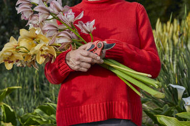Ältere Frau hält einen frisch geschnittenen Blumenstrauß in ihrem Garten - CAVF82866
