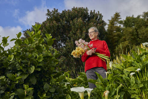 Ältere Frau hält Blumenstrauß mit frischen Schnittblumen in ihrem Garten - CAVF82867