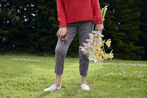 Frau in rotem Pullover mit frischen Schnittblumen - CAVF82869