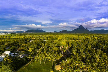 Mauritius, Black River, Flic-en-Flac, Blick aus dem Hubschrauber auf Palmen vor grünem Wald mit Trois Mamelles-Gebirge im Hintergrund - AMF08129