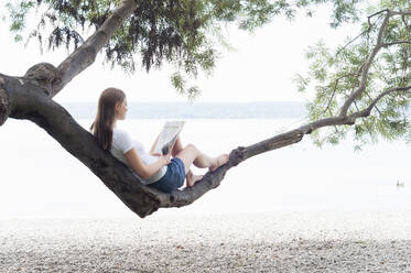 Frau sitzt auf einem Baumstamm und liest eine Zeitschrift am Ammersee, Deutschland - DIGF12407
