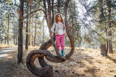 Girl in rubber boots and sweatpants climbing pine tree in forest - CAVF83134