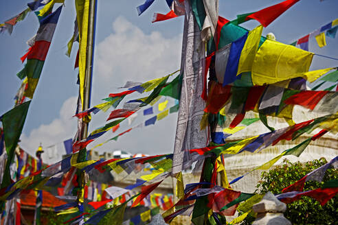Tibetische Gebetsfahnen im Wind - CAVF83208