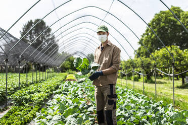 Farmer with protective mask in greenhouse with zucchini plants - MCVF00405