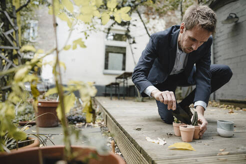 Geschäftsmann macht eine Pause, Gartenarbeit im Garten, Umtopfen von Kakteen - GUSF03849