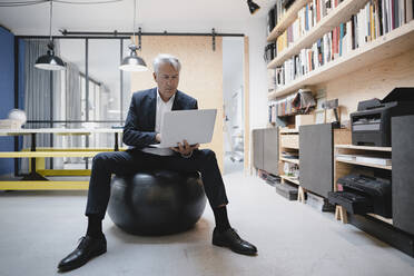 Senior businessman sitting on fitness ball, using laptop - GUSF03929