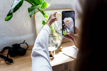 Frau fotografiert frische Calla Lilie Blume in Vase durch Smartphone zu Hause - ERRF03882