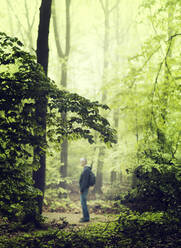 Germany, North Rhine-Westphalia, Wuppertal, Man standing in green spring forest - DWIF01082