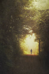 Deutschland, Nordrhein-Westfalen, Wuppertal, Silhouette eines Mannes in der Mitte eines Waldweges - DWIF01090