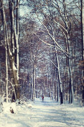 Deutschland, Nordrhein-Westfalen, Wuppertal, Jogger steht mitten auf einem verschneiten Waldweg - DWIF01095