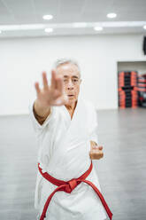 Älterer Karate-Meister bei der Ausführung von Kampftechniken - CAVF83355