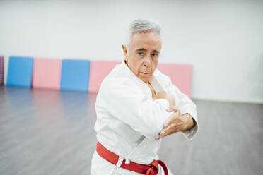 Älterer Karate-Meister bei der Ausführung von Kampftechniken - CAVF83358