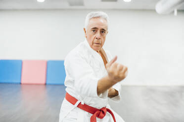 Älterer Karate-Meister bei der Ausführung von Kampftechniken - CAVF83361