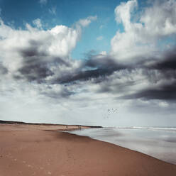 Frankreich, Nouvelle-Aquitaine, Contis, Gewitterwolken über dem Strand von Contis Plage - DWIF01100