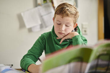 Dedicated boy studying at home - MMIF00267