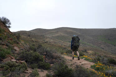 Mann wandert auf einem zerklüfteten Pfad in den Superstition Mountains in Arizona - CAVF83519