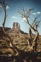 Umgebung des Monument Valley, Navajo-Stausee. - CAVF83526