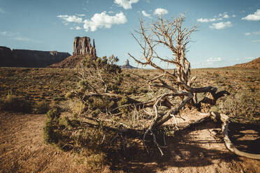 Umgebung des Monument Valley, Navajo-Stausee. - CAVF83527