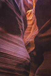 Inside of Antelope Canyon, color and textures - CAVF83545