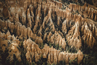 Detail des Bryce Canyon vom Bryce Point aus - CAVF83561