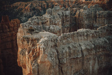 Detail des Bryce Canyon vom Bryce Point aus - CAVF83564