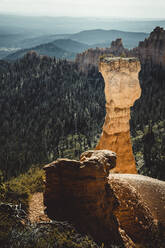 Bryce Canyon Turm von Paria aus gesehen - CAVF83568