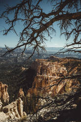 Bryce Canyon Bogen von Paria aus gesehen - CAVF83573