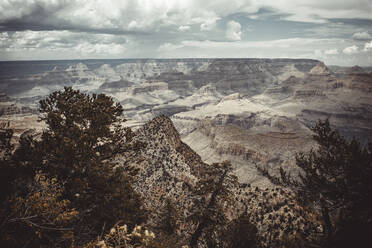 Grand-Canyon-Umgebung im Sommer - CAVF83586