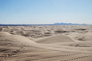 Die Imperial Sand Dunes in Kalifornien erstrecken sich bis zum Horizont. - CAVF83600