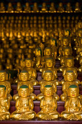 Goldene Buddha-Statuen in einem buddhistischen Tempel - CAVF83639