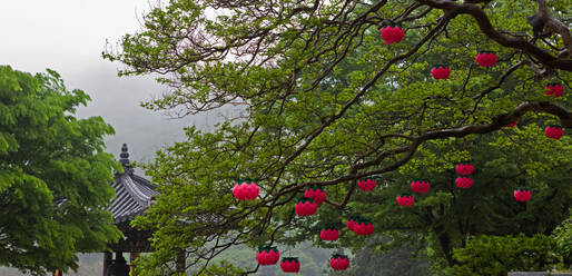 Windlichter in einem buddhistischen Tempel - CAVF83642