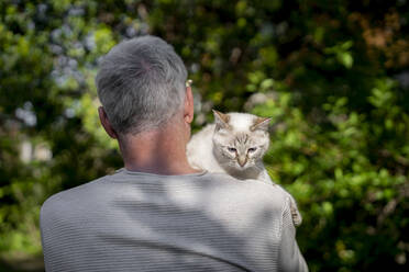 Rear view of senior man holding his cat in garden - AFVF06401