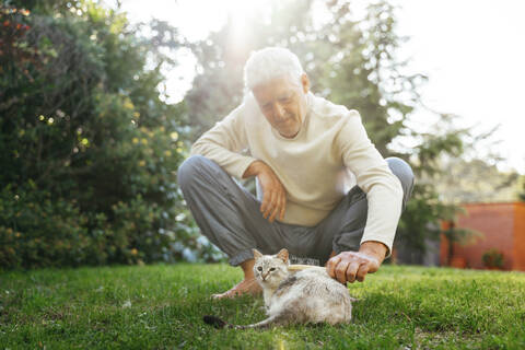 Älterer Mann bürstet Katze im Garten, lizenzfreies Stockfoto