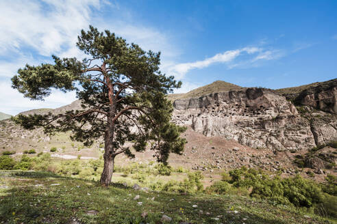 Georgia, Samtskhe-Javakheti, Tree in front of Vardzia cave monastery - WVF01651