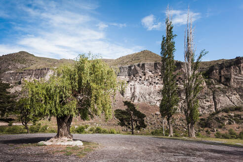 Georgia, Samtskhe-Javakheti, Trees in front of Vardzia cave monastery - WVF01652