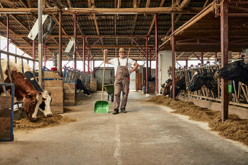 Male farmer holding shovel while standing in dairy farm - ZEDF03386