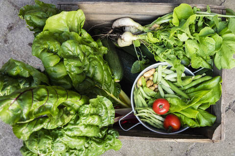 Germany, Box of freshly harvested vegetables stock photo