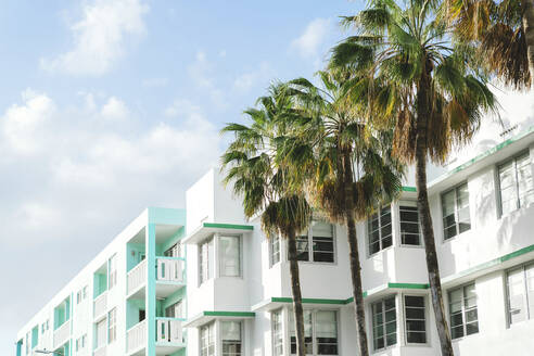 Art-Deco-Gebäude und Palmen gegen den Himmel an einem sonnigen Tag, Florida, USA - GEMF03786