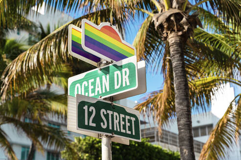 Road signs with rainbow flags against palm trees at ocean drive - GEMF03791