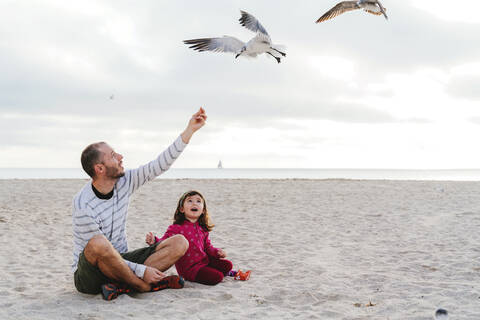 Father feeding seagulls while sitting with daughter at Miami beach, Florida, USA stock photo