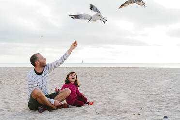 Vater füttert Möwen und sitzt mit seiner Tochter am Strand von Miami, Florida, USA - GEMF03793