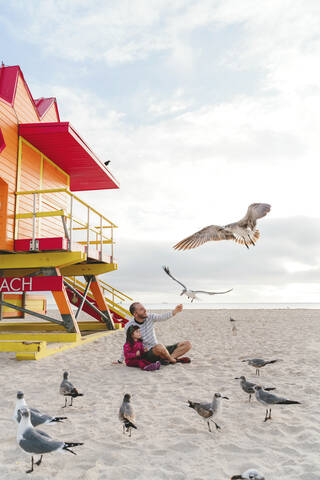 Father feeding seagulls while sitting with daughter at Miami beach, Florida, USA stock photo