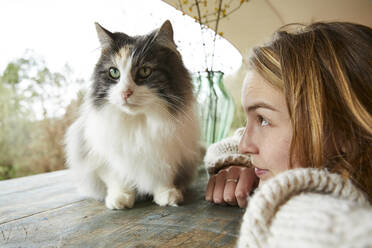 Junge Frau, die eine norwegische Waldkatze auf einem Holztisch betrachtet - FSF01091