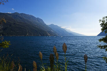 Italien, Trentino, Riva del Garda, Berge und Gardasee mit Gras im Vordergrund - UMF00931